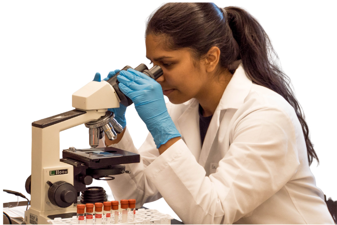 Researcher looking through a microscope in a laboratory.