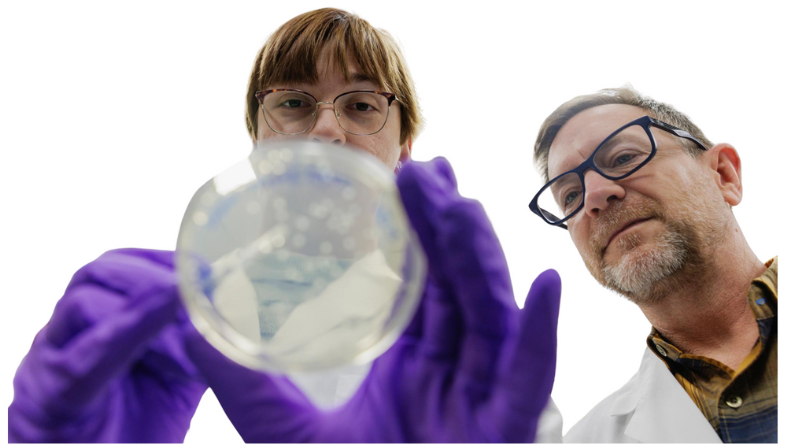 Graduate student Emily Baum, left, works with Tom Barker in his lab. 